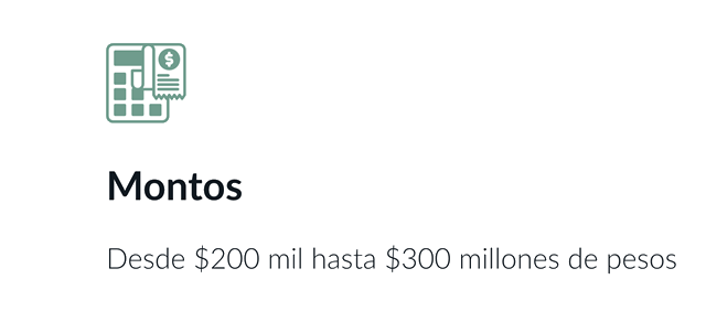 Montos: Desde $200 mil hasta $300 millones de pesos.